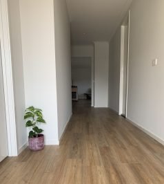 Lvt Flooring After