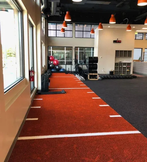 Gym Turf